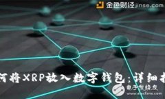 如何将XRP放入数字钱包：