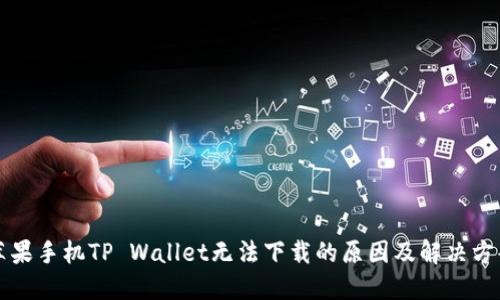 苹果手机TP Wallet无法下载的原因及解决方案