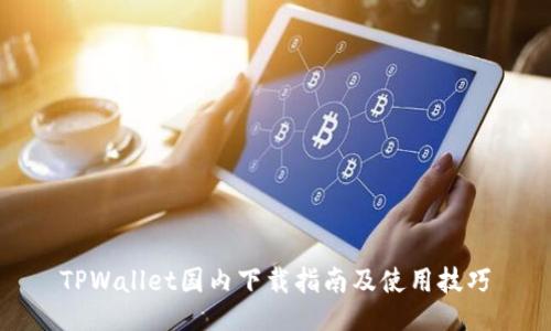 TPWallet国内下载指南及使用技巧