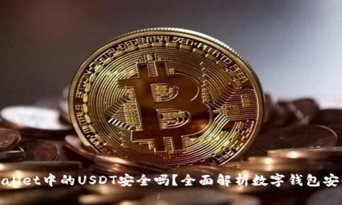 TPWallet中的USDT安全吗？全面解析数字钱包安全性