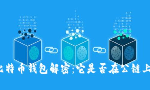 比特币钱包解密：它是否在公链上？