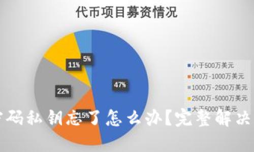 TPWallet密码私钥忘了怎么办？完整解决方案大揭秘