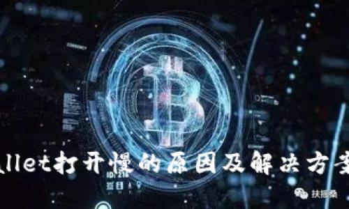 TPWallet打开慢的原因及解决方案详解