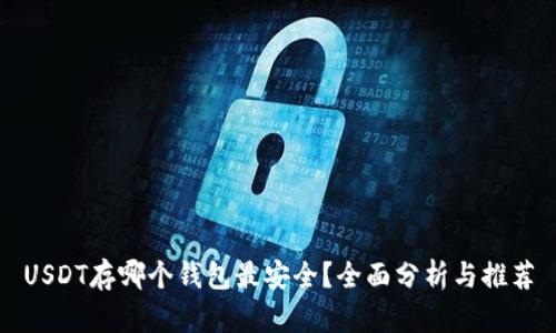 USDT存哪个钱包最安全？全面分析与推荐