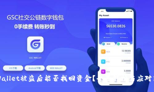 TPWallet被盗后能否找回资金？全面解析与应对策略