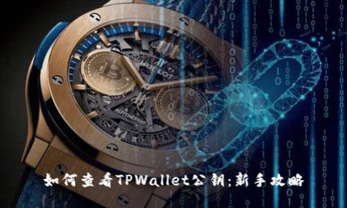 如何查看TPWallet公钥：新手攻略