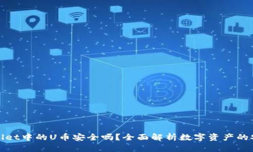 TPWallet中的U币安全吗？全面解析数字资产的安全性