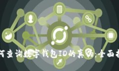 如何查询数字钱包ID的真伪：全面指南