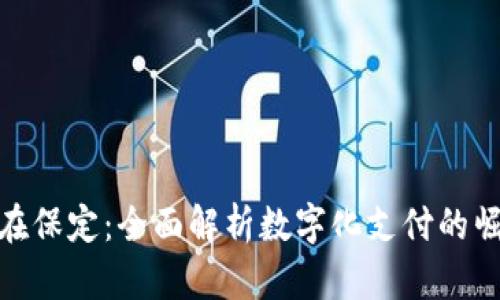 数字钱包在保定：全面解析数字化支付的崛起与影响