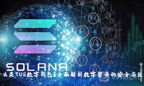 什么是TUR数字钱包？全面解析数字货币的安全与使用
