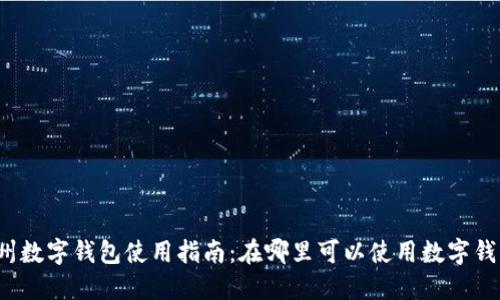 温州数字钱包使用指南：在哪里可以使用数字钱包？