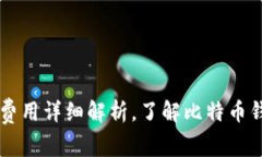 TPWallet一年费用详细解析，