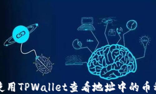 
如何使用TPWallet查看地址中的币种信息