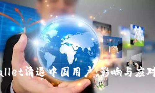 TPWallet清退中国用户：影响与应对策略