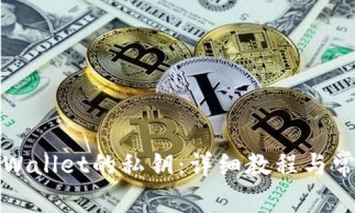 如何查看TPWallet的私钥：详细教程与常见问题解答