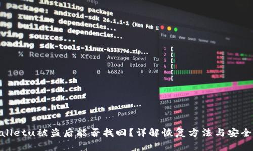 tpwalletu被盗后能否找回？详解恢复方法与安全措施