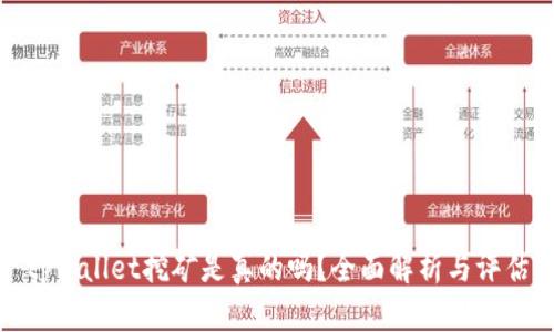 tpwallet挖矿是真的吗？全面解析与评估