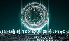 如何使用TPWallet通过TRX购买