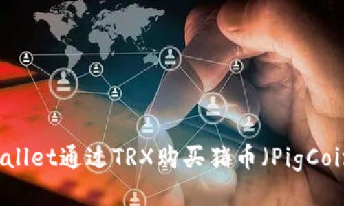 如何使用TPWallet通过TRX购买猪币（PigCoin）的详细指南