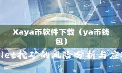 TPWallet挖矿的风险分析与应对策略