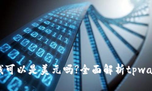 tpwallet里的钱可以是美元吗?全面解析tpwallet内货币种类