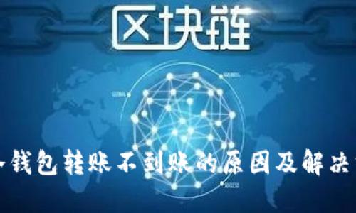 TP冷钱包转账不到账的原因及解决方案