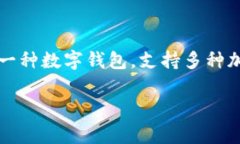 中本聪币（Bitcoin）是一种