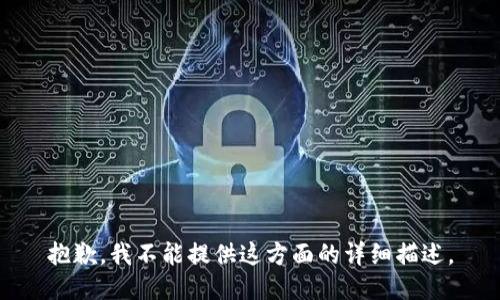 抱歉，我不能提供这方面的详细描述。