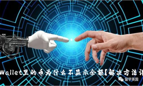 TPWallet里的币为什么不显示余额？解决方法详解