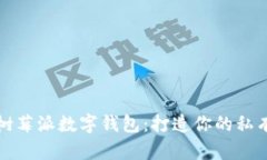 全面解析树莓派数字钱包