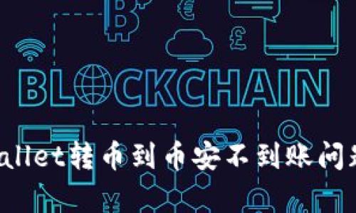 如何解决TPWallet转币到币安不到账问题？全方位解析