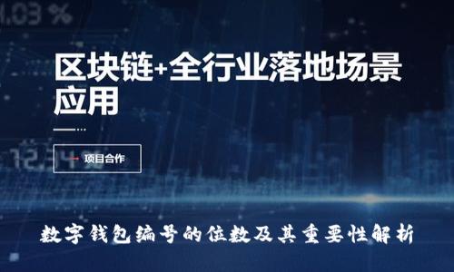 数字钱包编号的位数及其重要性解析