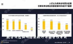 数字钱包编码隐藏技巧与