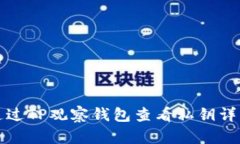 如何通过TP观察钱包查看私