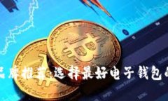 数字钱包品牌推荐：选择最好电子钱包的全面指