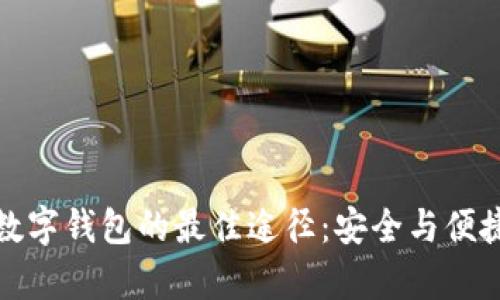 下载数字钱包的最佳途径：安全与便捷并存