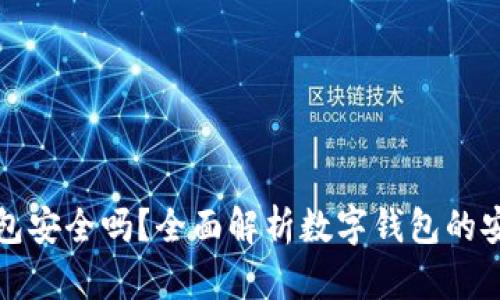 交行数字钱包安全吗？全面解析数字钱包的安全性与风险