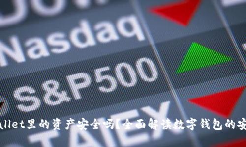 TPWallet里的资产安全吗？全面解读数字钱包的安全性