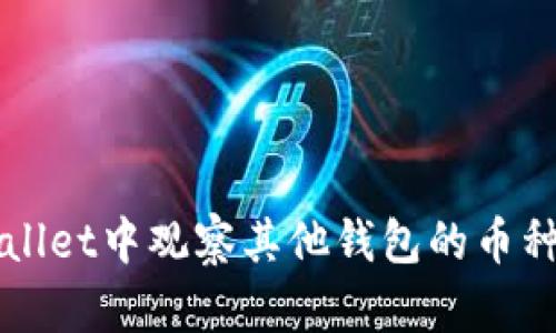 如何在TPWallet中观察其他钱包的币种和交易活动