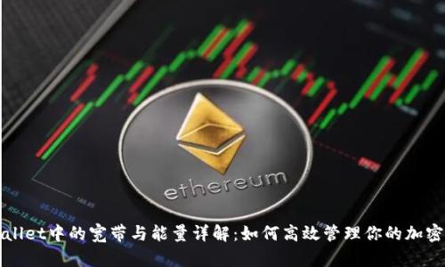 TPWallet中的宽带与能量详解：如何高效管理你的加密资产