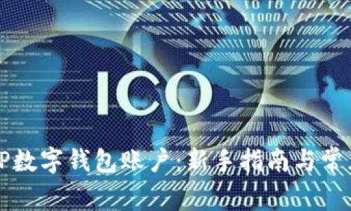 如何创建TP数字钱包账户：新手指南与常见问题解析