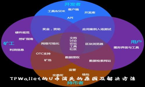 TPWallet的U币消失的原因及解决方法