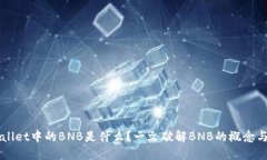 TPWallet中的BNB是什么？一文