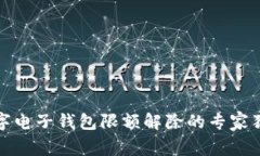 揭秘数字电子钱包限额解